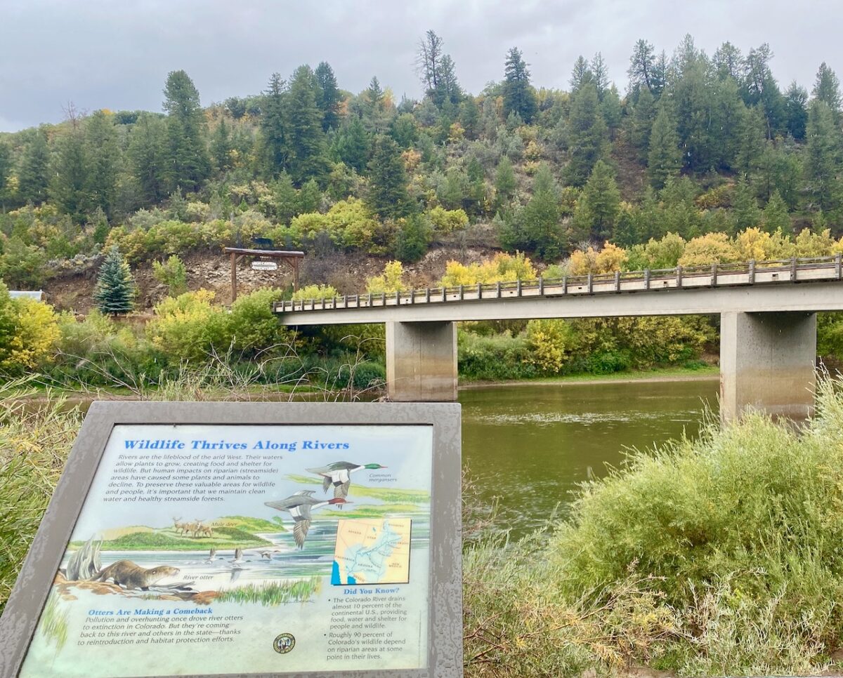 IMG 7173 1200x966 - Eight Days in Colorado: Denver, Rocky Mountain National Park, Woody Creek and a Colorado River State Park