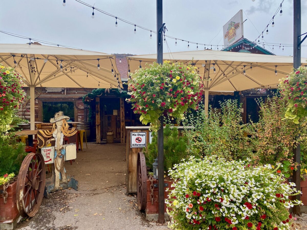 IMG 7181 1200x900 - Eight Days in Colorado: Denver, Rocky Mountain National Park, Woody Creek and a Colorado River State Park