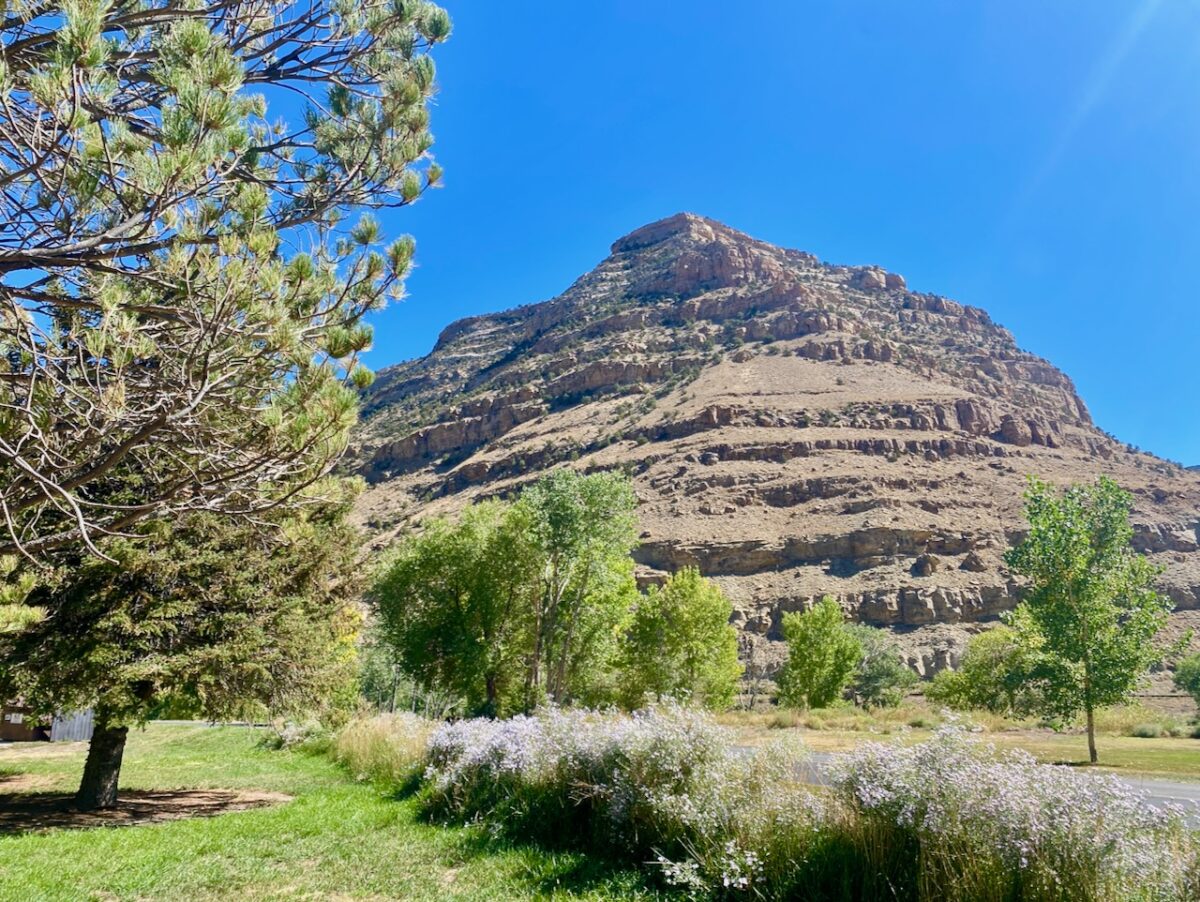 IMG 7183 1200x902 - Eight Days in Colorado: Denver, Rocky Mountain National Park, Woody Creek and a Colorado River State Park