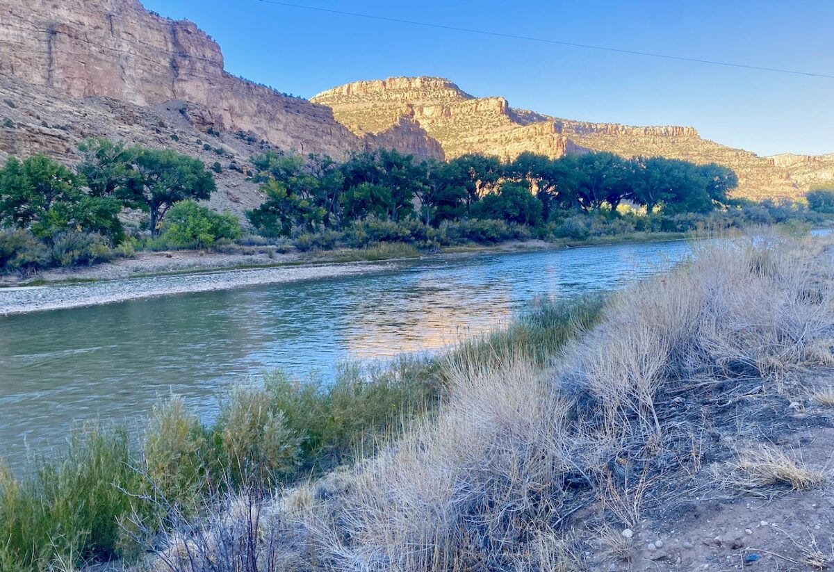 IMG 7187 1200x823 - Eight Days in Colorado: Denver, Rocky Mountain National Park, Woody Creek and a Colorado River State Park