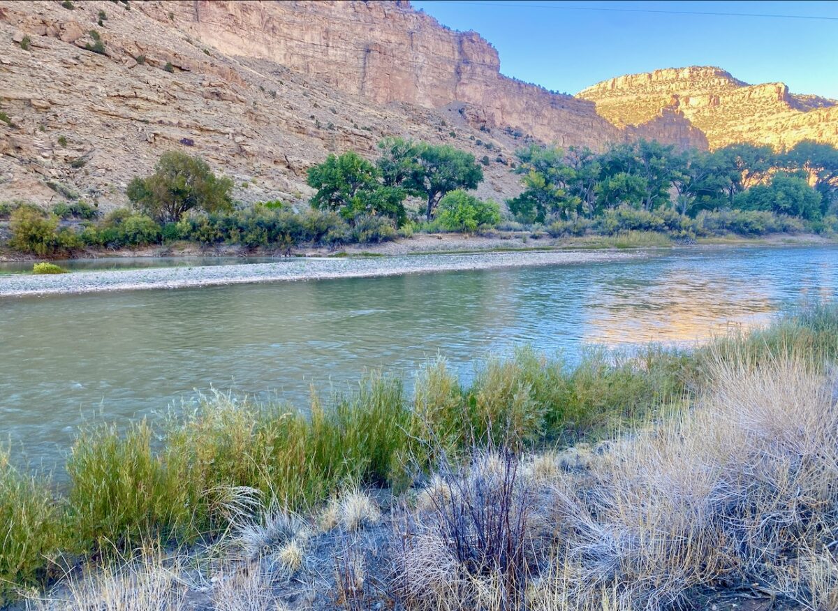 IMG 7189 1200x875 - Eight Days in Colorado: Denver, Rocky Mountain National Park, Woody Creek and a Colorado River State Park