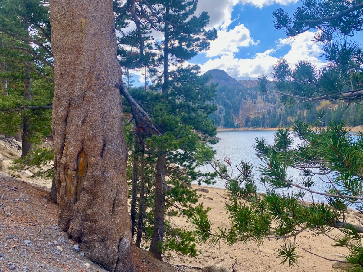 IMG 7222 1200x900 - Across Utah and Nevada to Coulterville, California