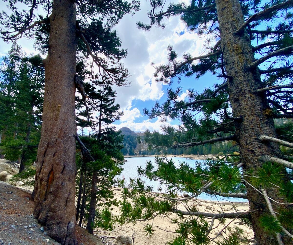 IMG 7223 1200x1001 - Across Utah and Nevada to Coulterville, California