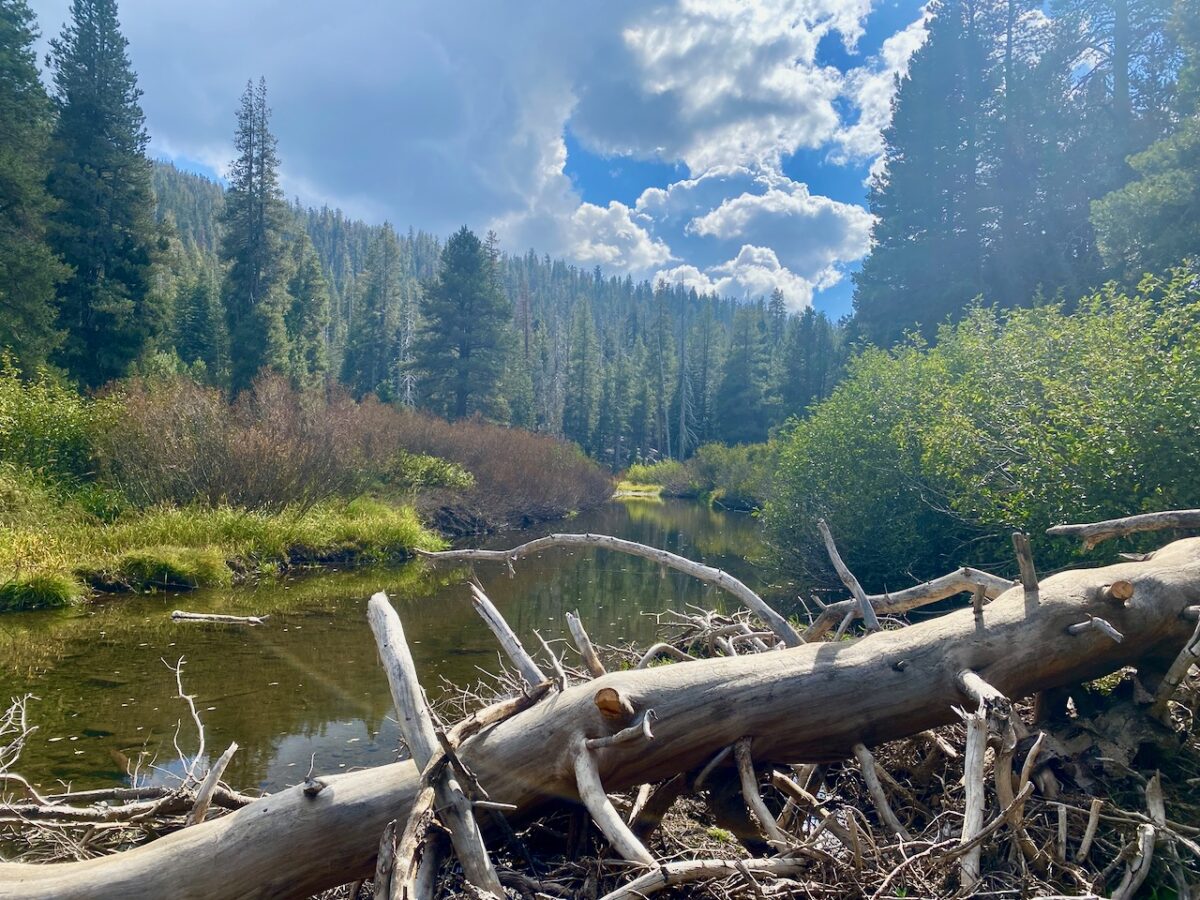 IMG 7248 1200x900 - Across Utah and Nevada to Coulterville, California