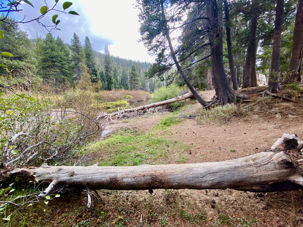 IMG 7249 1200x900 - Across Utah and Nevada to Coulterville, California