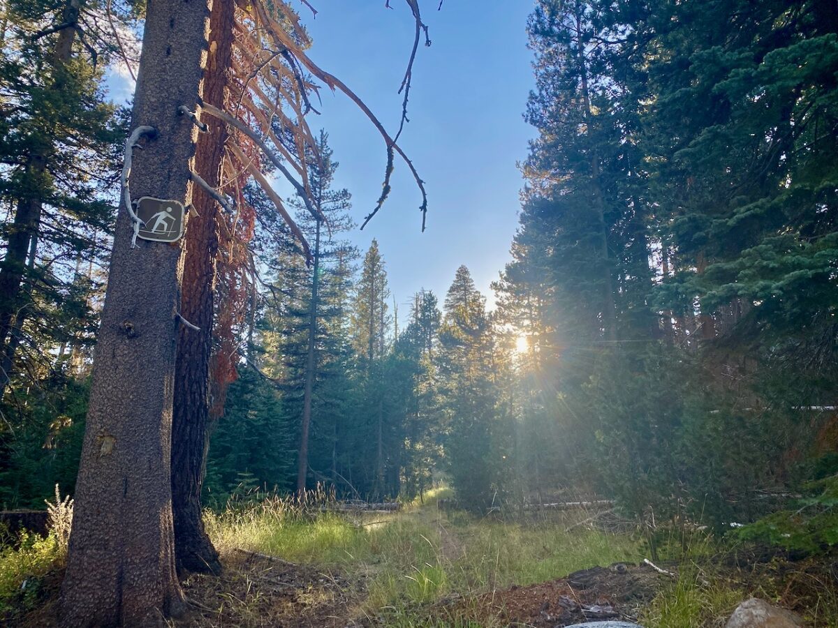 IMG 7260 1200x900 - Across Utah and Nevada to Coulterville, California