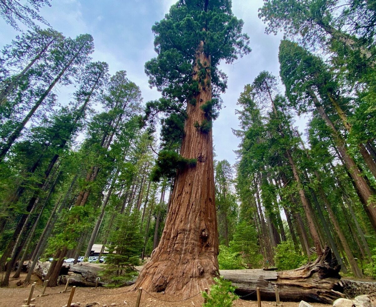 IMG 7274 1200x981 - Across Utah and Nevada to Coulterville, California