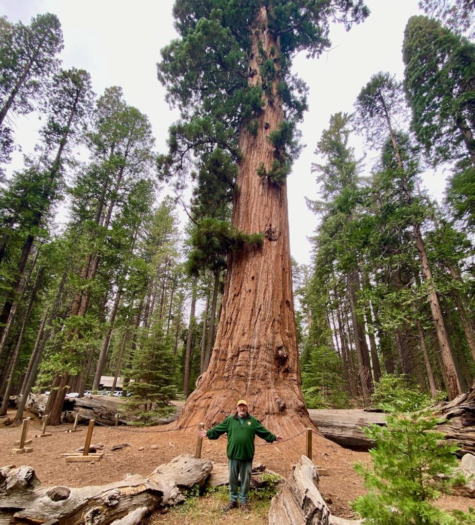 IMG 7283 926x1024 - Across Utah and Nevada to Coulterville, California