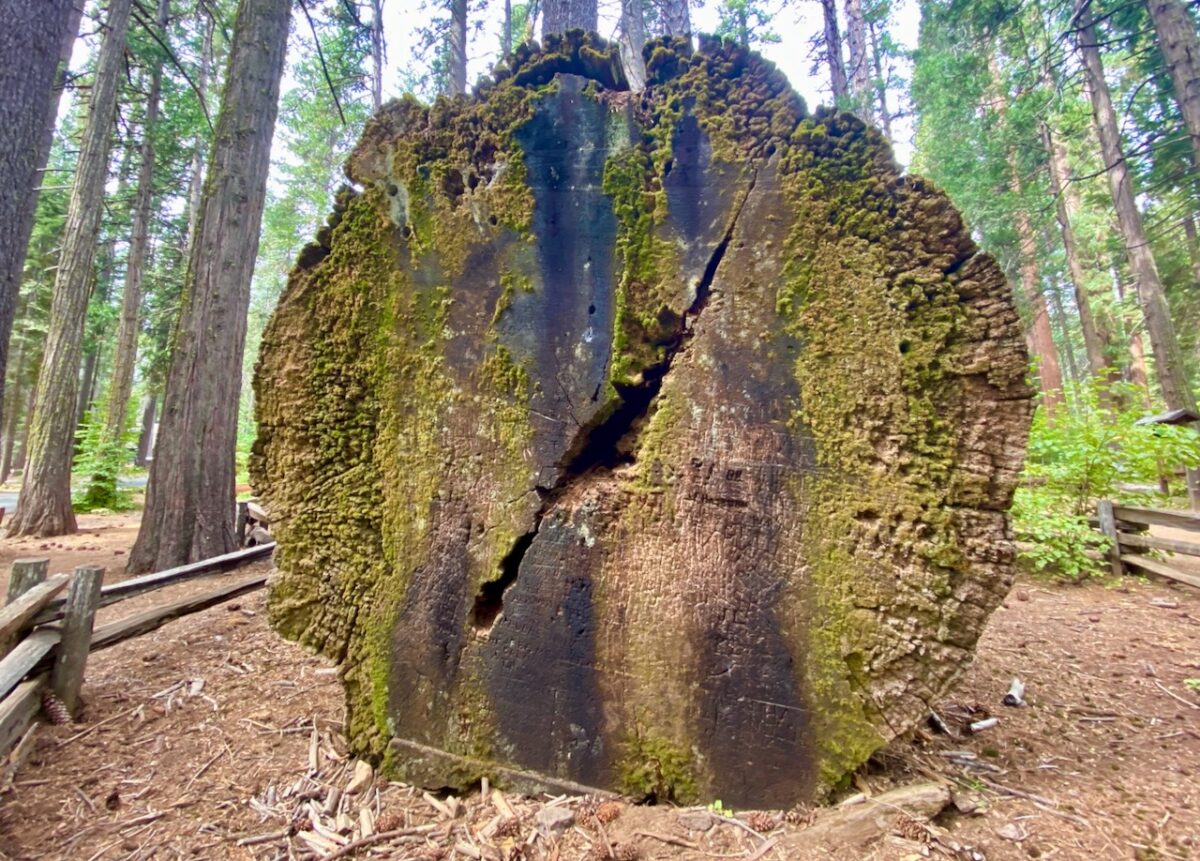 IMG 7285 1200x861 - Across Utah and Nevada to Coulterville, California