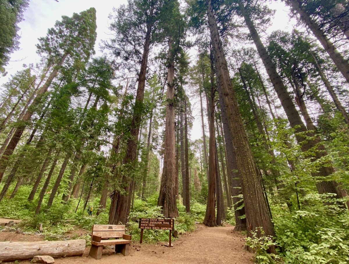 IMG 7286 1200x910 - Across Utah and Nevada to Coulterville, California