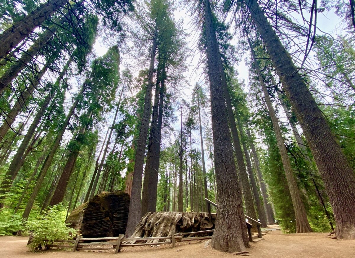 IMG 7291 1 1200x874 - Across Utah and Nevada to Coulterville, California