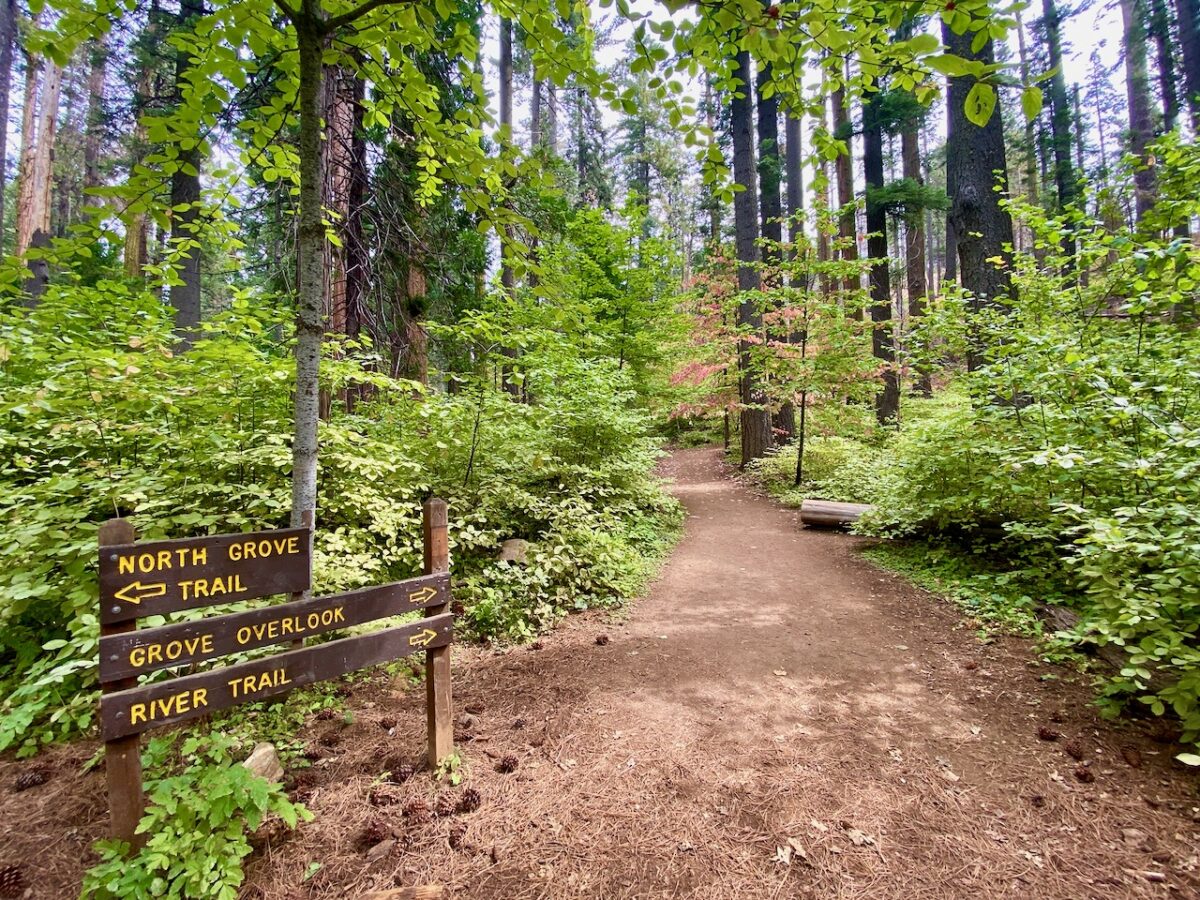 IMG 7294 1200x900 - Across Utah and Nevada to Coulterville, California