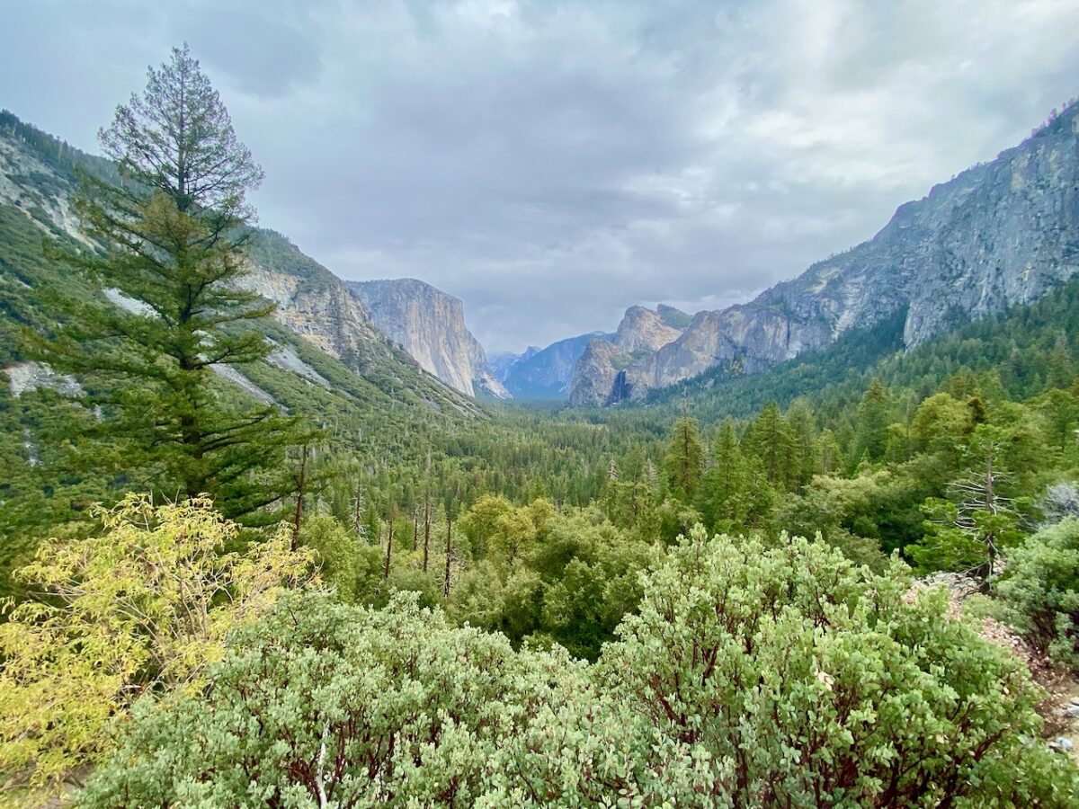 IMG 7362 1200x900 - The Cathedral of Yosemite National Park