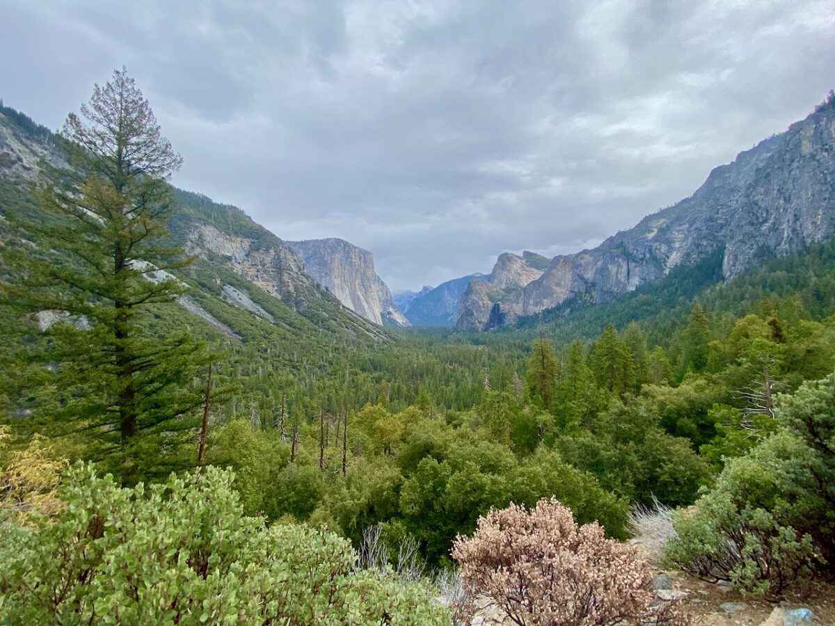 IMG 7366 1200x900 - The Cathedral of Yosemite National Park