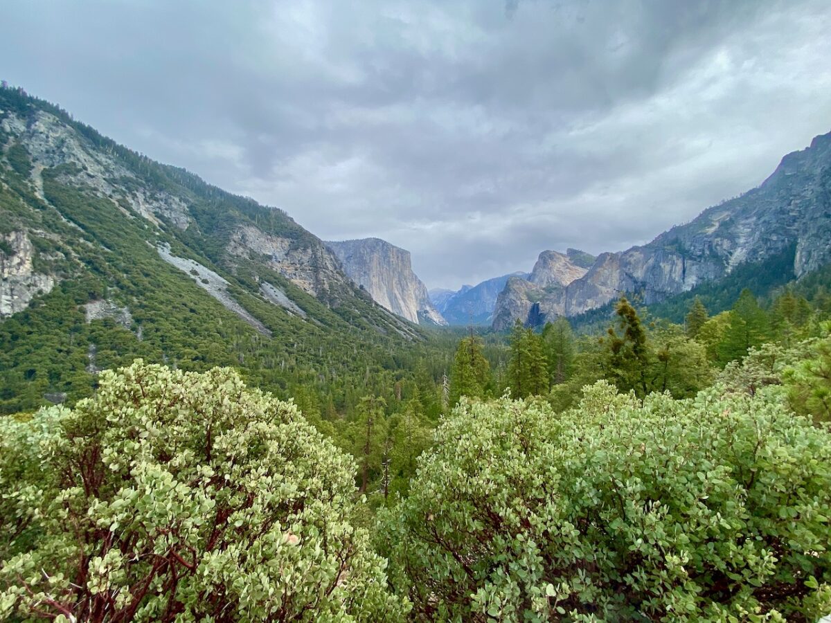 IMG 7383 1200x900 - The Cathedral of Yosemite National Park