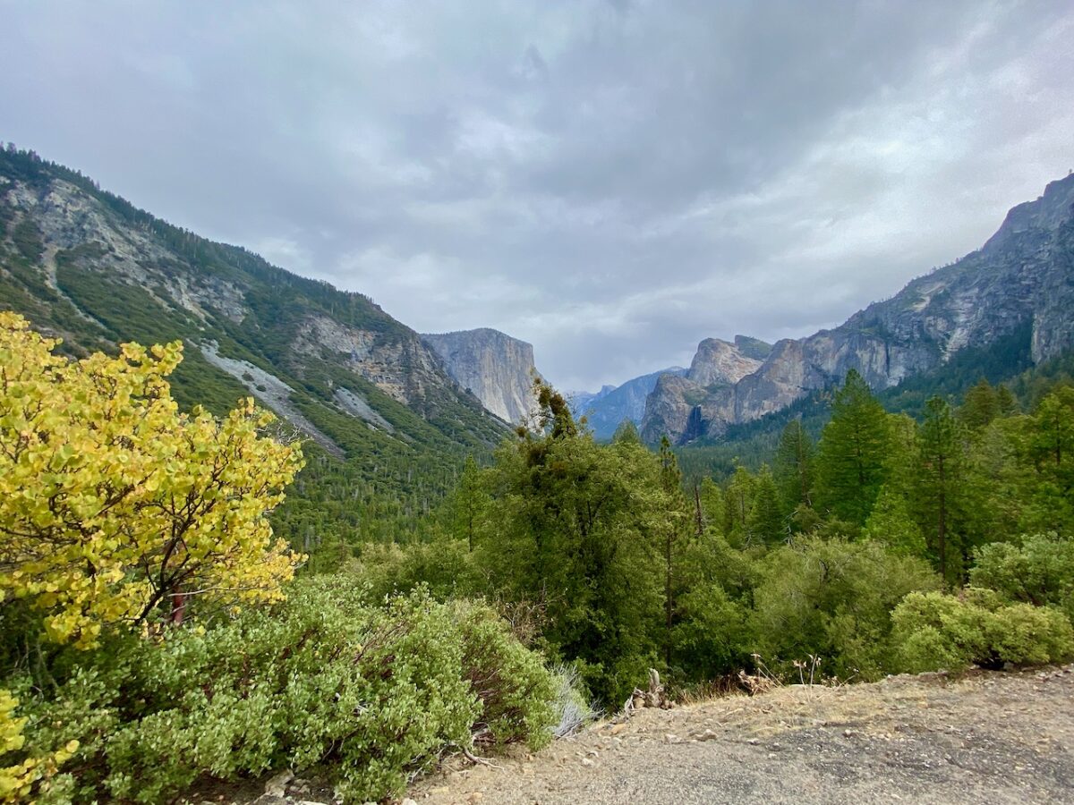 IMG 7390 1200x900 - The Cathedral of Yosemite National Park
