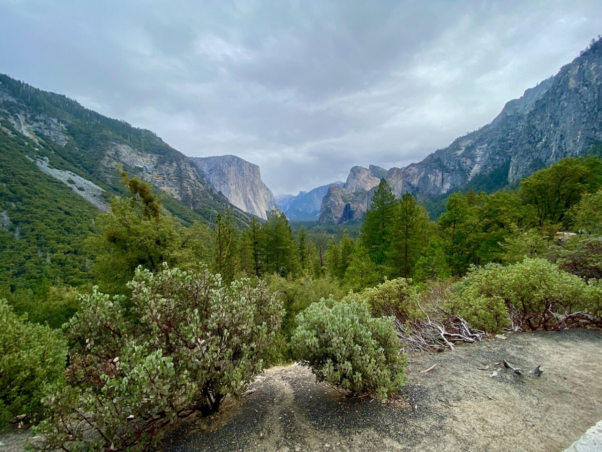 IMG 7394 1200x900 - The Cathedral of Yosemite National Park