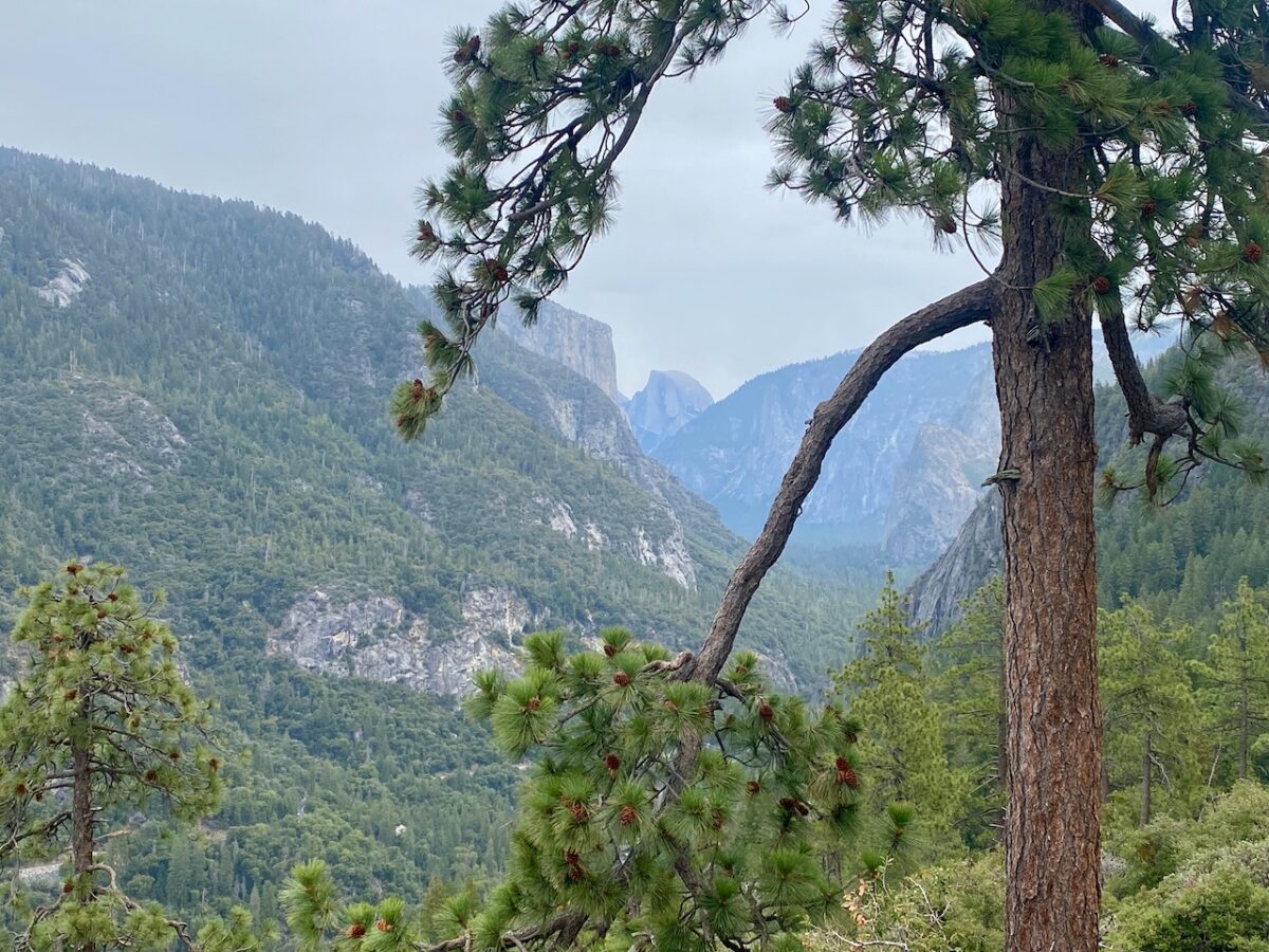 IMG 7413 1200x900 - The Cathedral of Yosemite National Park