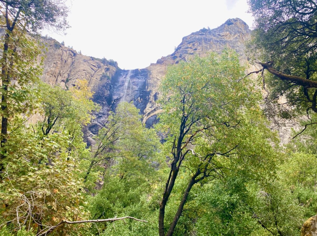 IMG 7419 1200x894 - The Cathedral of Yosemite National Park