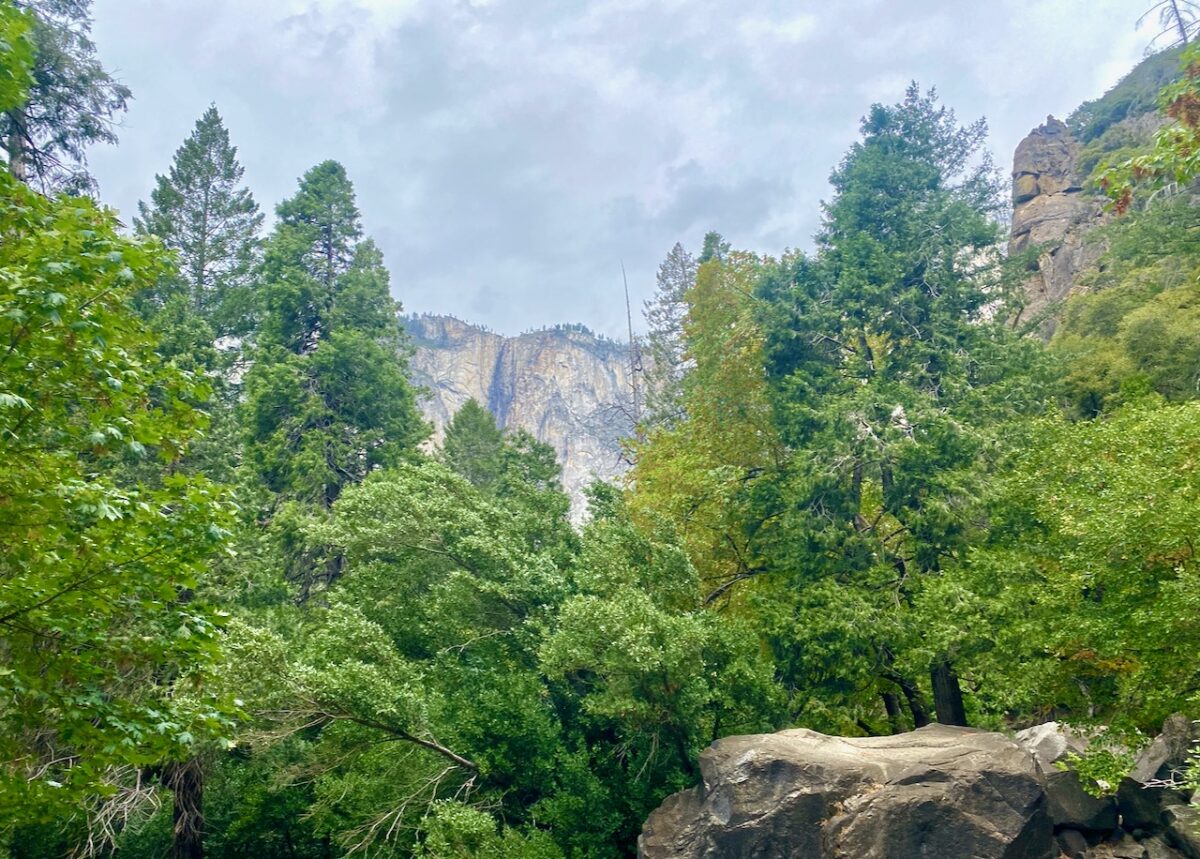IMG 7440 1200x859 - The Cathedral of Yosemite National Park