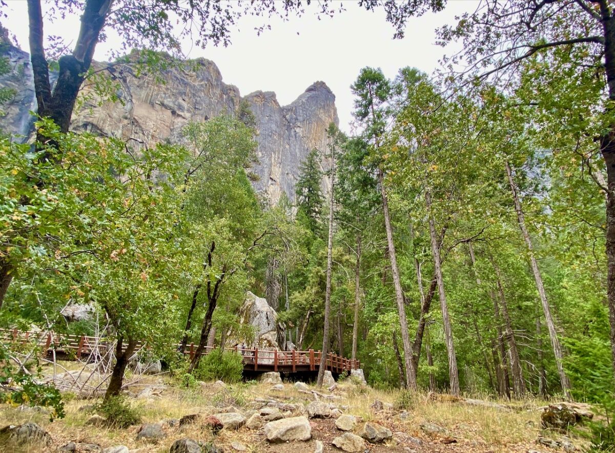 IMG 7452 1200x885 - The Cathedral of Yosemite National Park