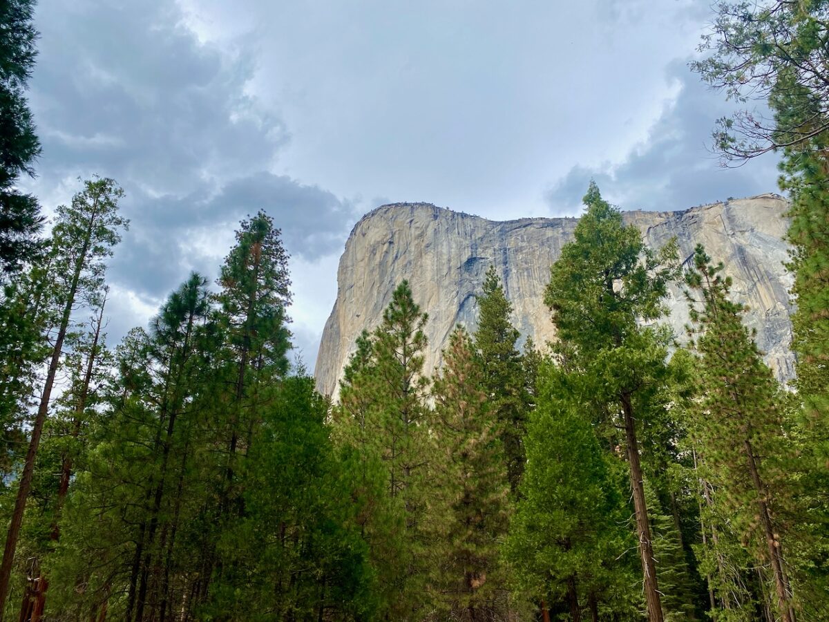 IMG 7468 1200x900 - The Cathedral of Yosemite National Park