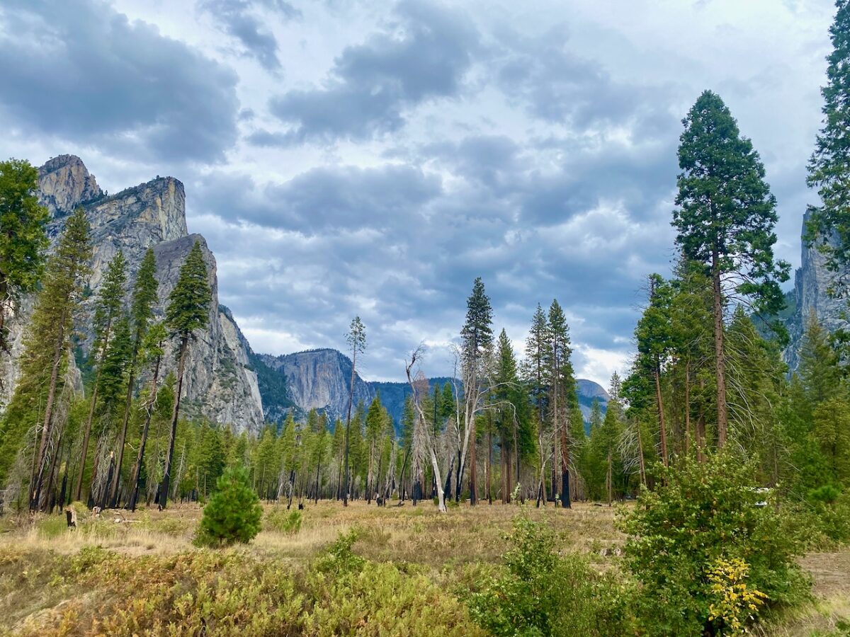 IMG 7469 1200x900 - The Cathedral of Yosemite National Park