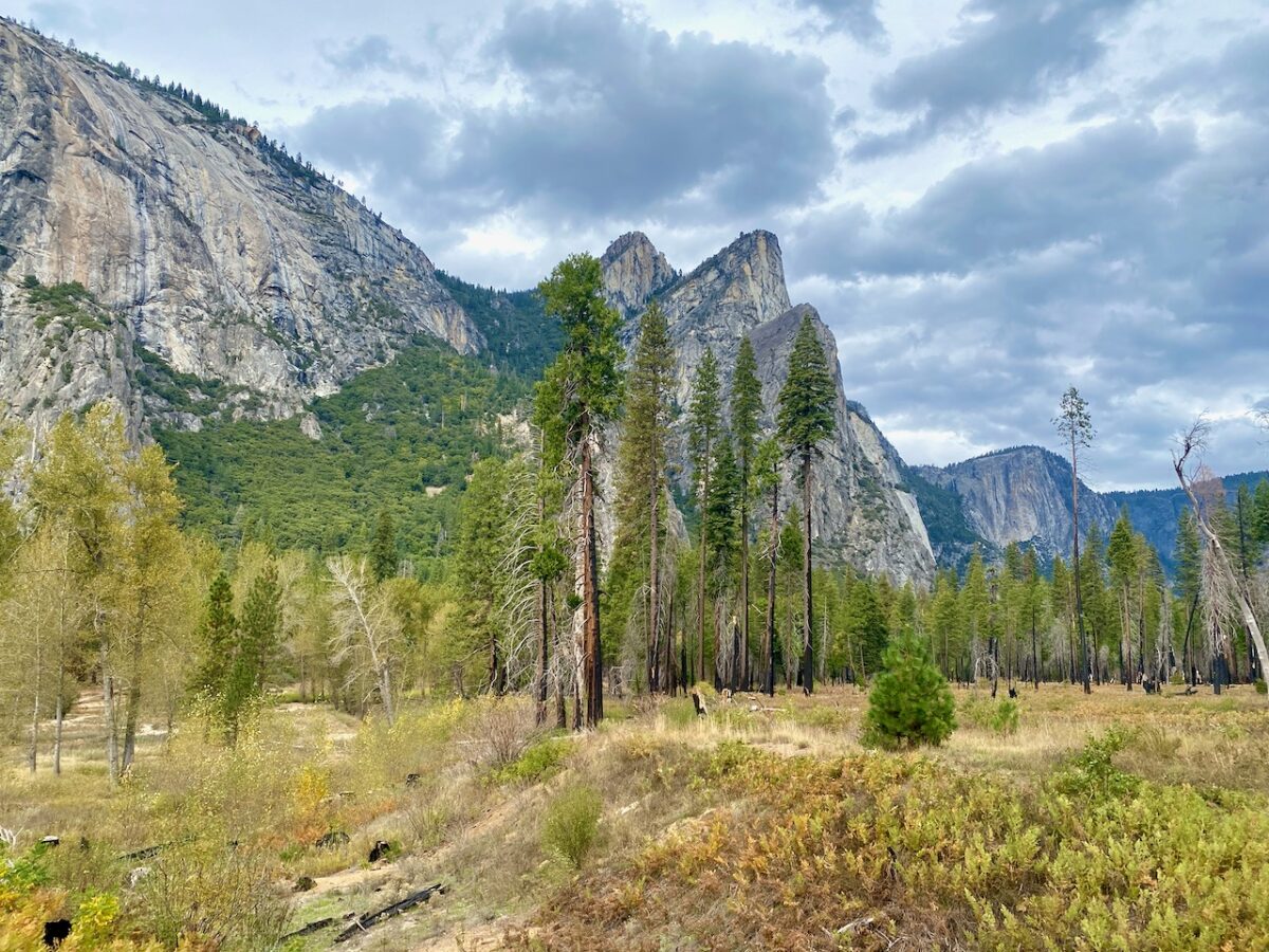 IMG 7471 1200x900 - The Cathedral of Yosemite National Park