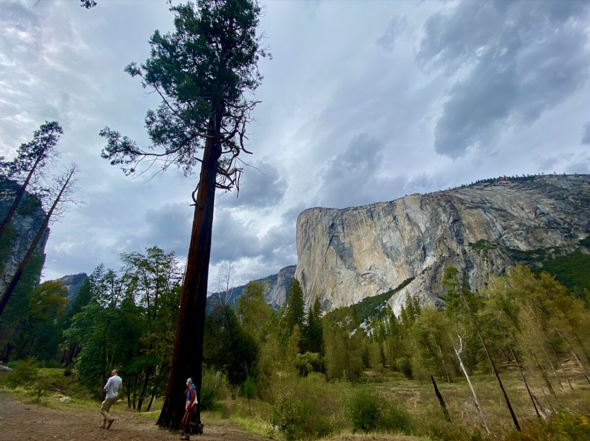 IMG 7482 1200x897 - The Cathedral of Yosemite National Park