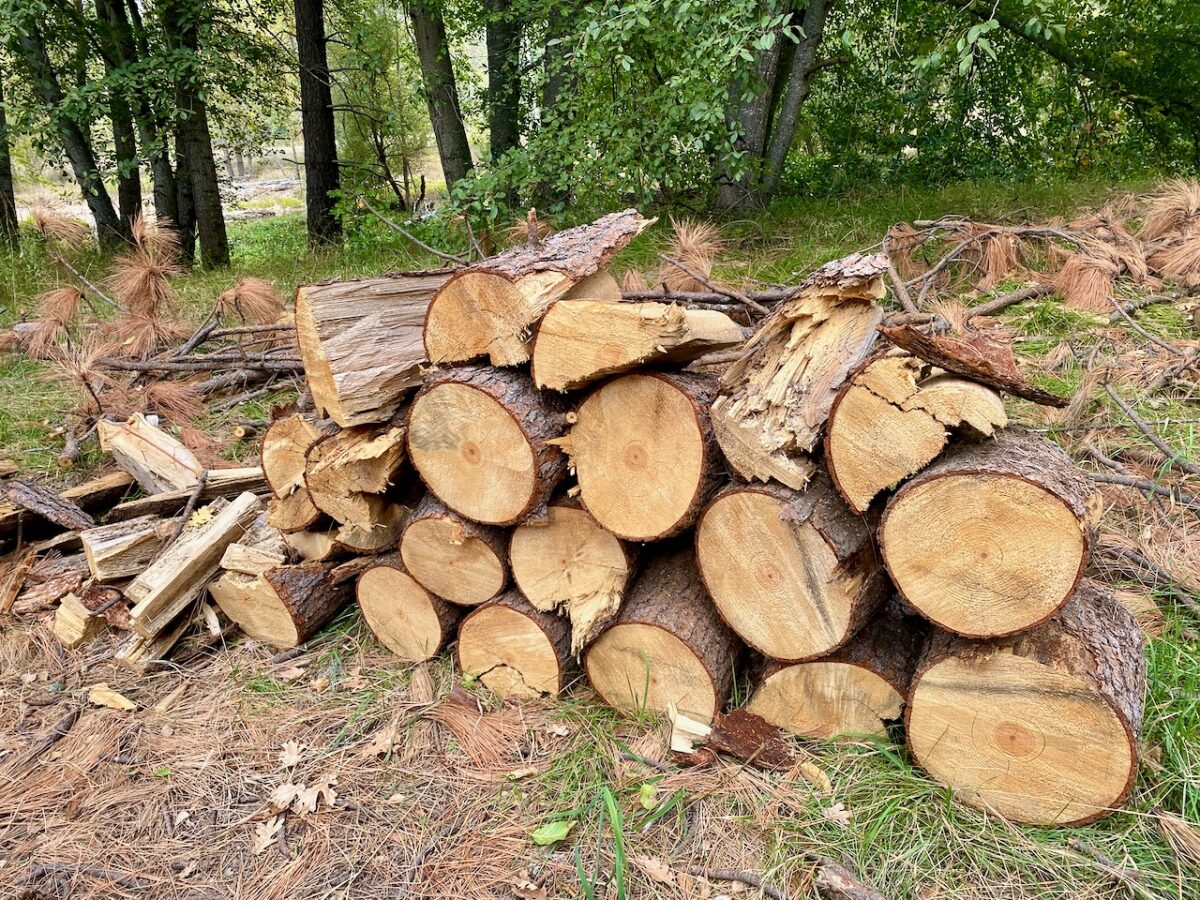IMG 7494 1200x900 - The Cathedral of Yosemite National Park