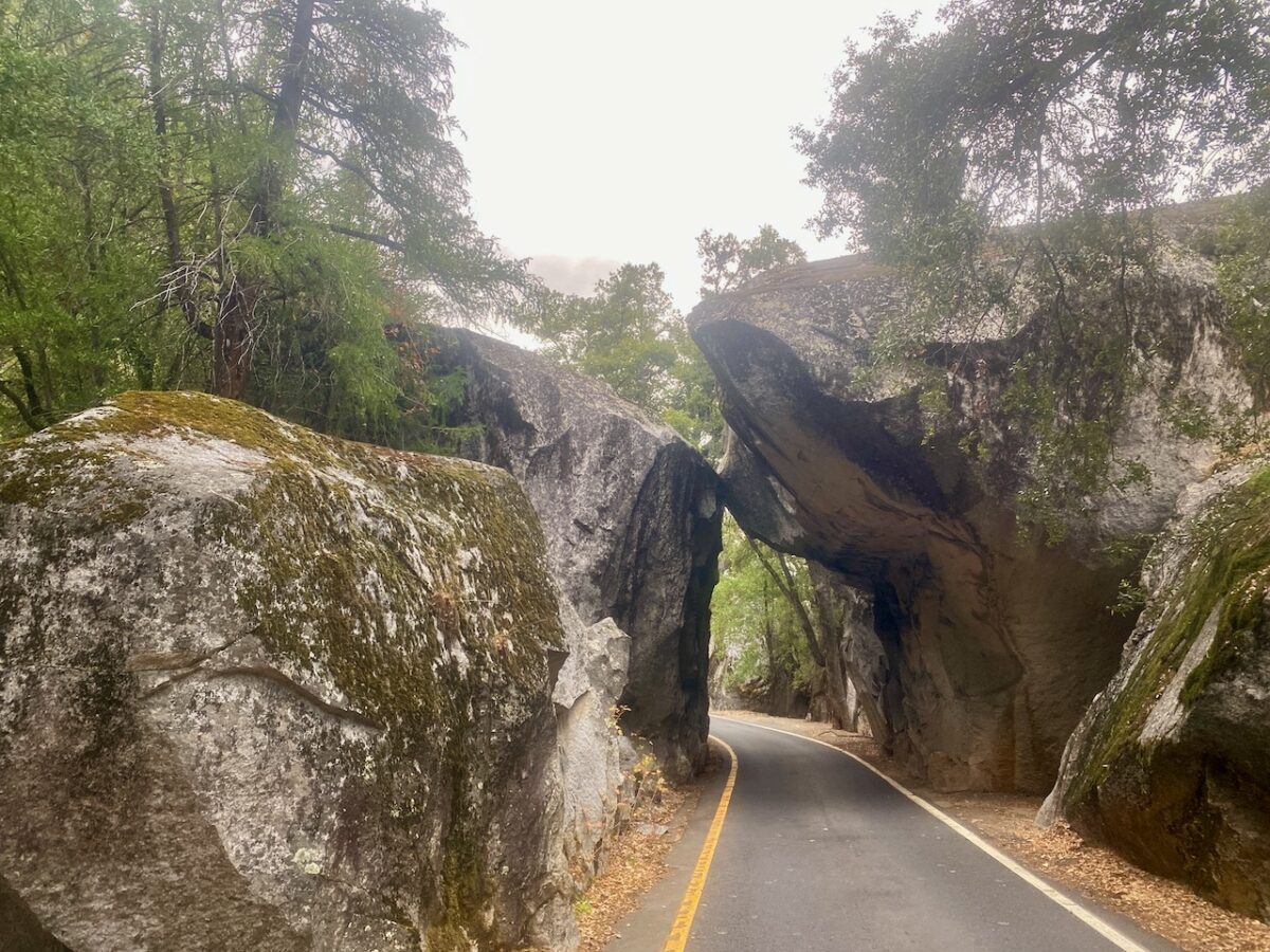 IMG 7515 1200x900 - The Cathedral of Yosemite National Park