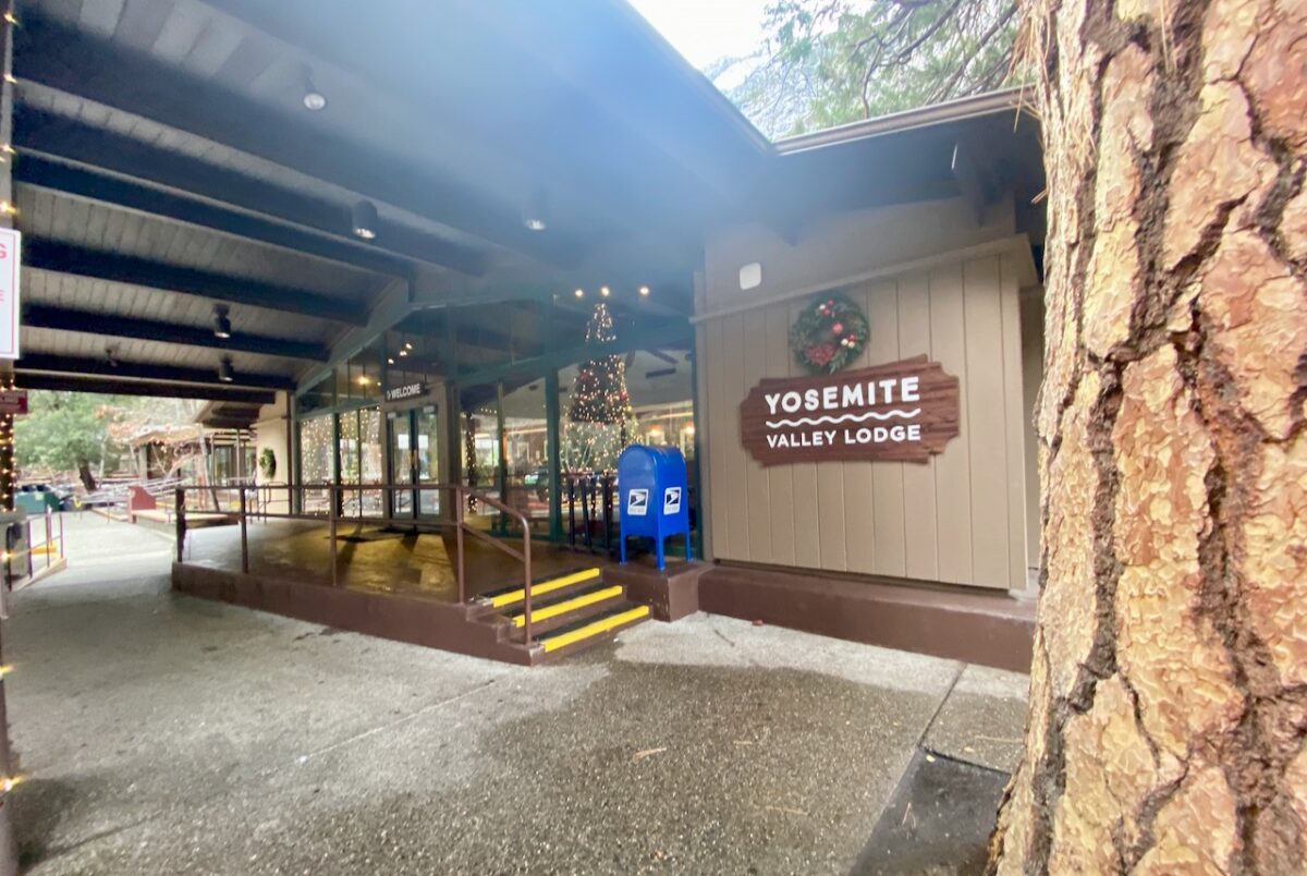 Yosemite National Park: Sometimes You Eat the Bear, Sometimes the Bear Eats You IMG 7802 1200x804 - Yosemite National Park: Sometimes You Eat the Bear, Sometimes the Bear Eats You