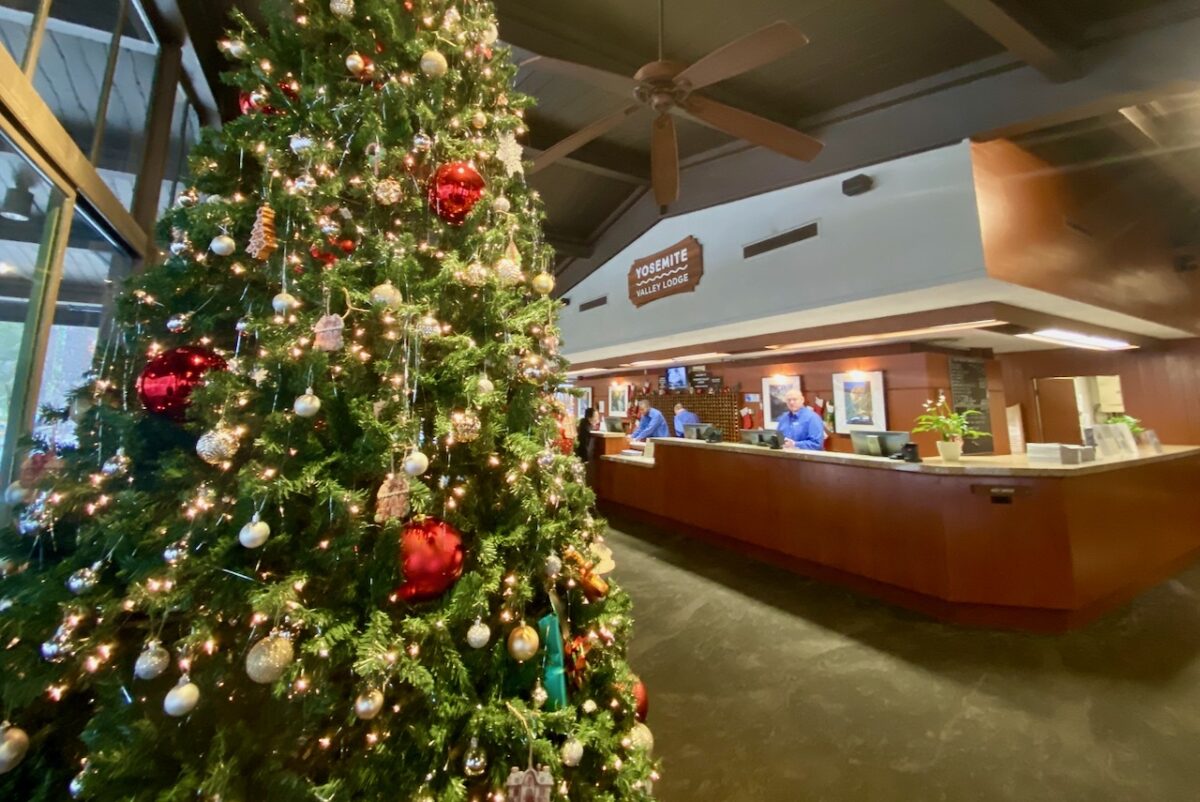 Yosemite National Park: Sometimes You Eat the Bear, Sometimes the Bear Eats You IMG 7805 1200x802 - Yosemite National Park: Sometimes You Eat the Bear, Sometimes the Bear Eats You