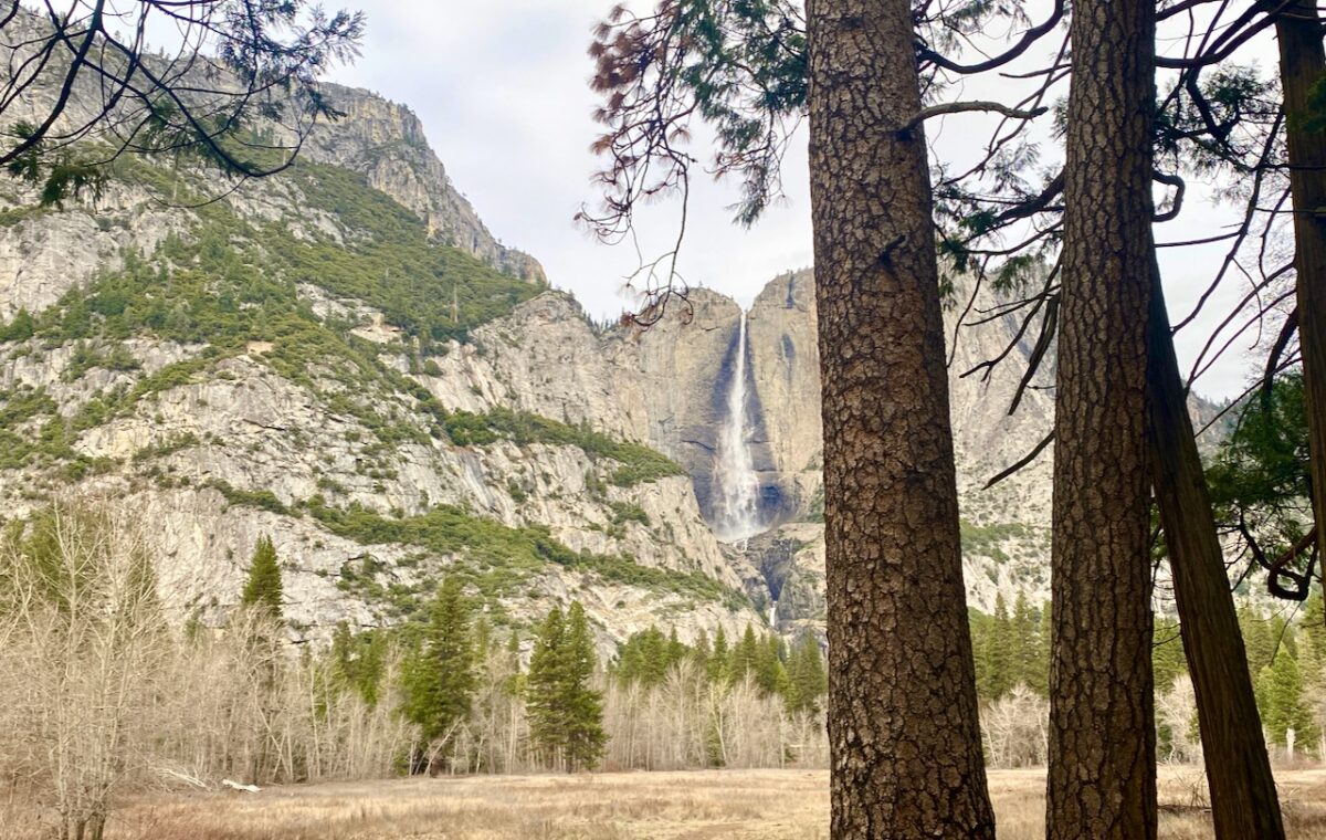 Yosemite National Park: Sometimes You Eat the Bear, Sometimes the Bear Eats You IMG 7811b 1200x760 - Yosemite National Park: Sometimes You Eat the Bear, Sometimes the Bear Eats You