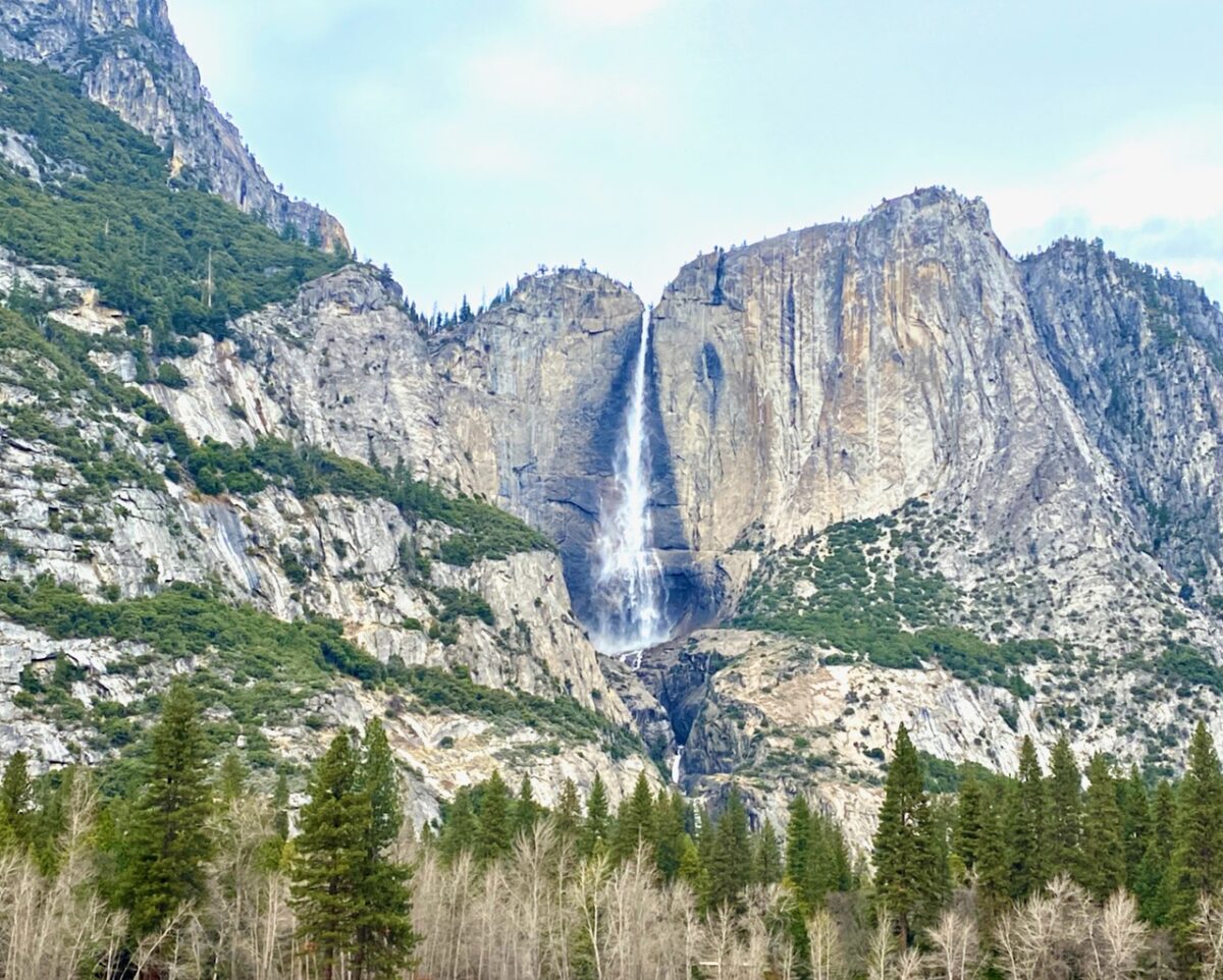 Yosemite National Park: Sometimes You Eat the Bear, Sometimes the Bear Eats You IMG 7817b 1200x962 - Yosemite National Park: Sometimes You Eat the Bear, Sometimes the Bear Eats You
