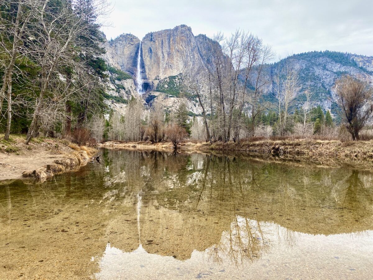 Yosemite National Park: Sometimes You Eat the Bear, Sometimes the Bear Eats You IMG 7841b 1200x900 - Yosemite National Park: Sometimes You Eat the Bear, Sometimes the Bear Eats You