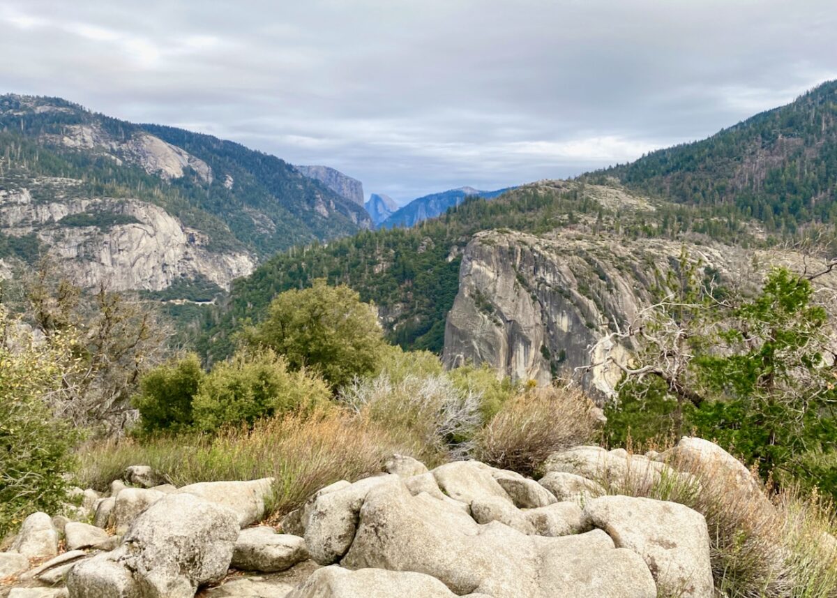 Yosemite National Park: Sometimes You Eat the Bear, Sometimes the Bear Eats You IMG 7860b 1200x857 - Yosemite National Park: Sometimes You Eat the Bear, Sometimes the Bear Eats You