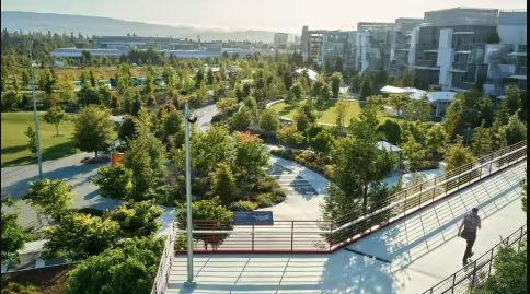 You Can't Always Get What You Want: The A.I. Bubble Will Burst MetaCampus - You Can't Always Get What You Want: The A.I. Bubble Will Burst