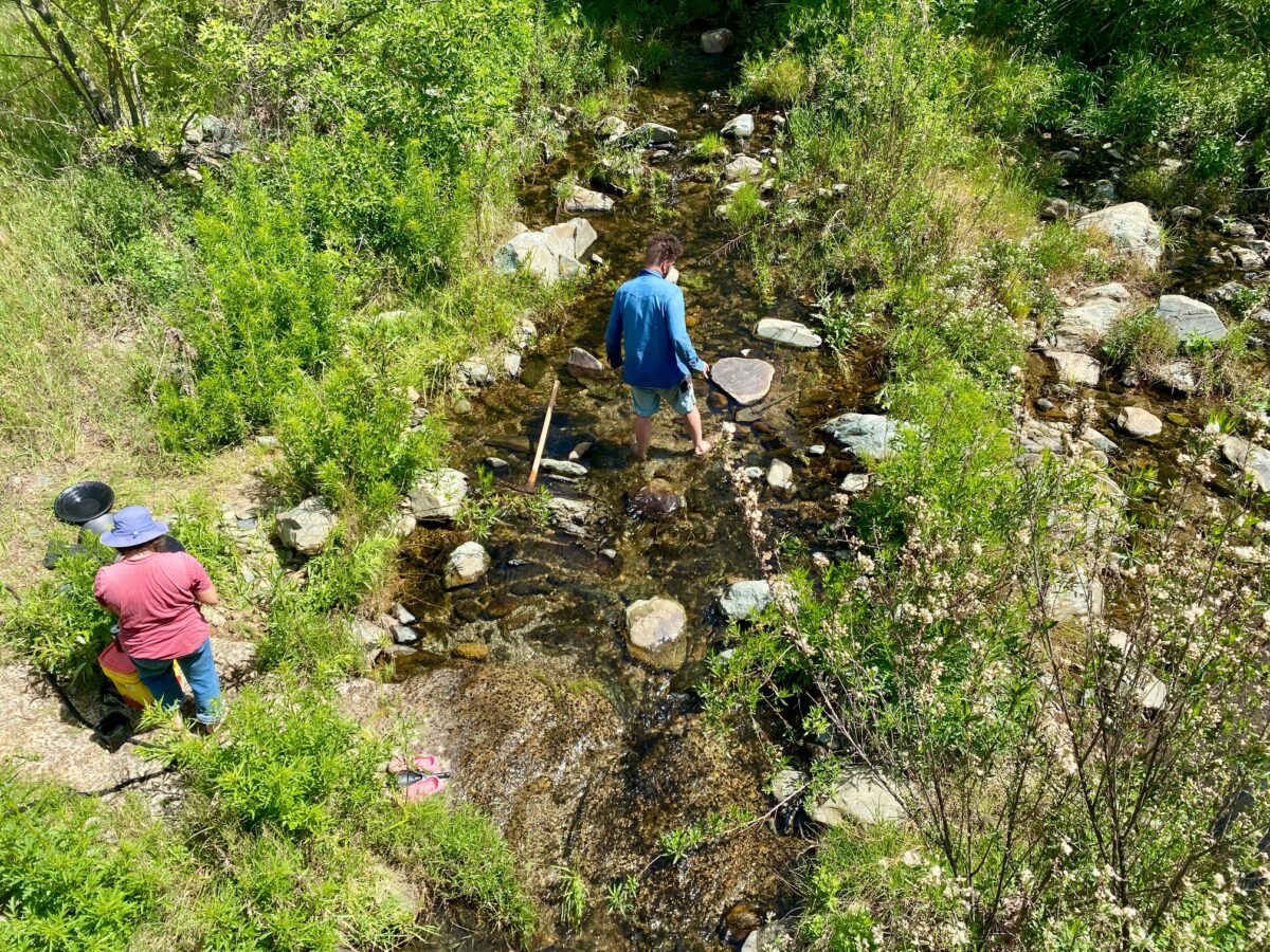 IMG 8159 1200x900 - Is There Still Gold to Be Extracted in Them Thar Hills?