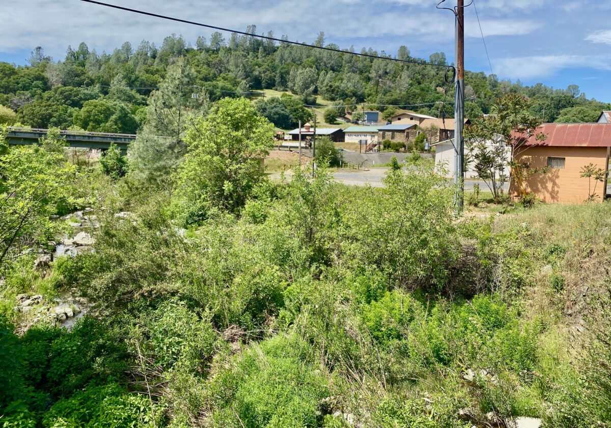 IMG 8160 1200x842 - Is There Still Gold to Be Extracted in Them Thar Hills?