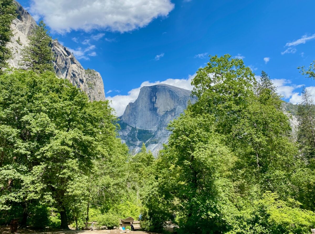 A Promise of Community Collaboration Emerges From Visit to Yosemite IMG 8314 1 1200x893 - A Promise of Community Collaboration Emerges From Visit to Yosemite