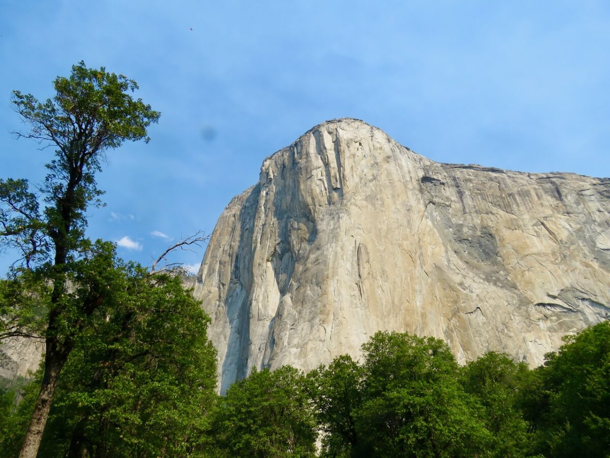 IMG 8481 1200x900 - The Mission Born at Yosemite: How We Can Preserve It
