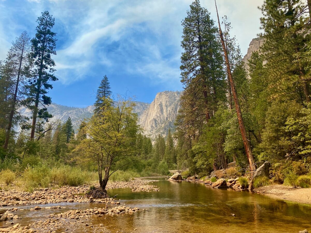 IMG 8887 1200x900 - The Mission Born at Yosemite: How We Can Preserve It
