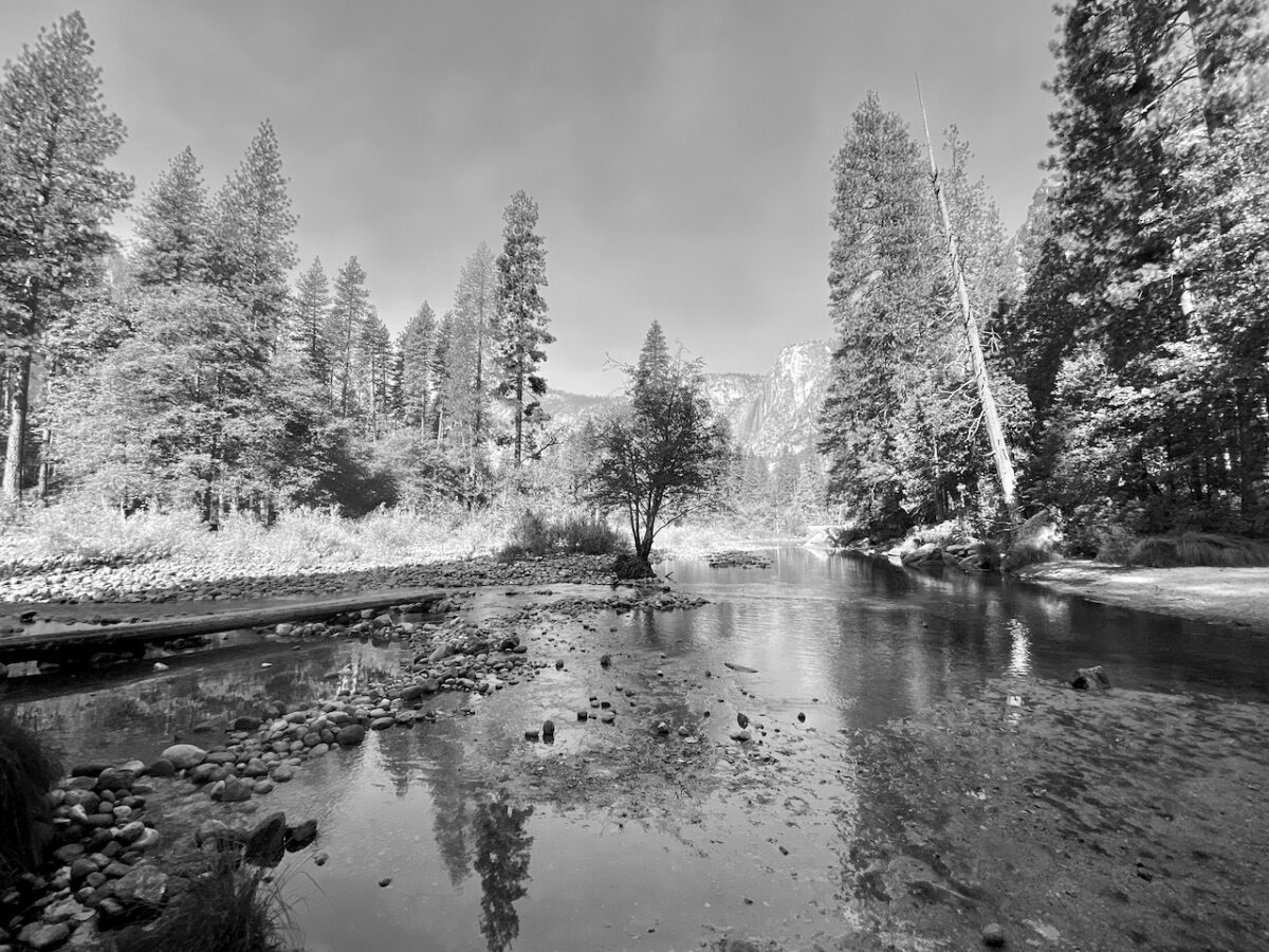 IMG 8925 1200x900 - The Mission Born at Yosemite: How We Can Preserve It