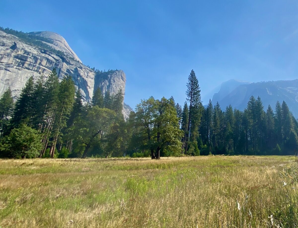 IMG 8937 1200x920 - The Mission Born at Yosemite: How We Can Preserve It